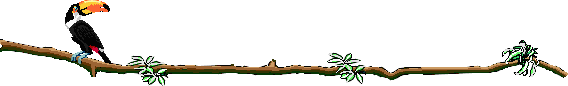 Imagen de un TUCAN