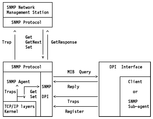 Figura: Hosts interconectados por un router