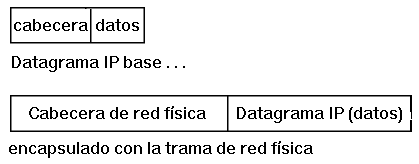 Figura: Datagrama IP Base