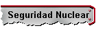 Seguridad Nuclear