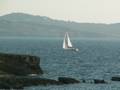 Ibiza, velero