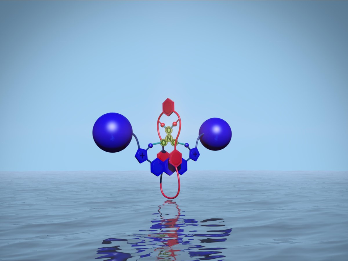 Rotaxane Nitrate Recognition