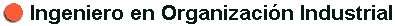 Ingeniero en Organizacin Industrial