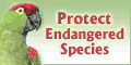 The Ecology Fund
