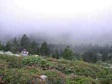 20020630_IMGP0097 (896x672, 108kb)