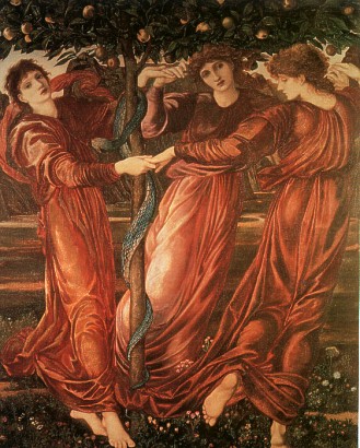 BURNE-hesperides.jpg (63396 bytes)