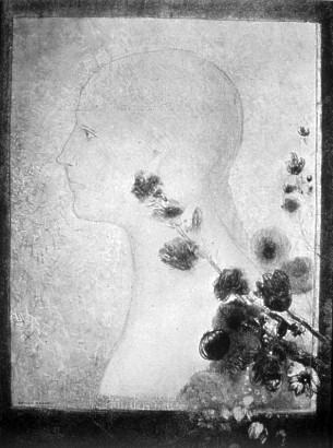REDON-perfil.jpg (41934 bytes)