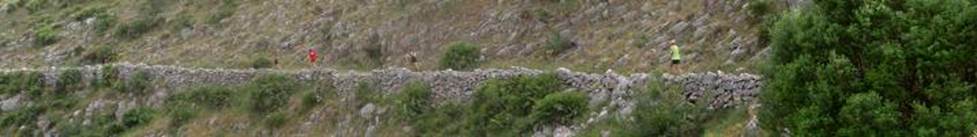 recP5210093