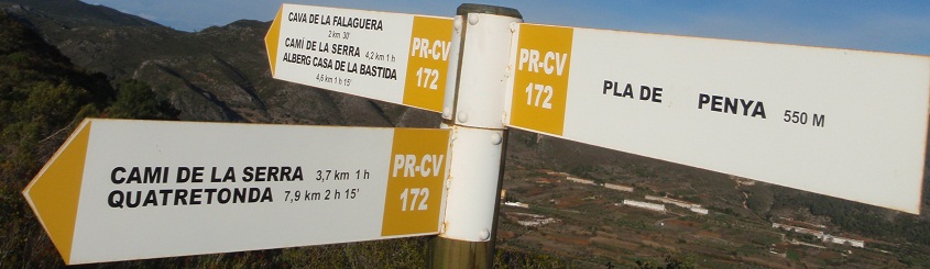aP3150271